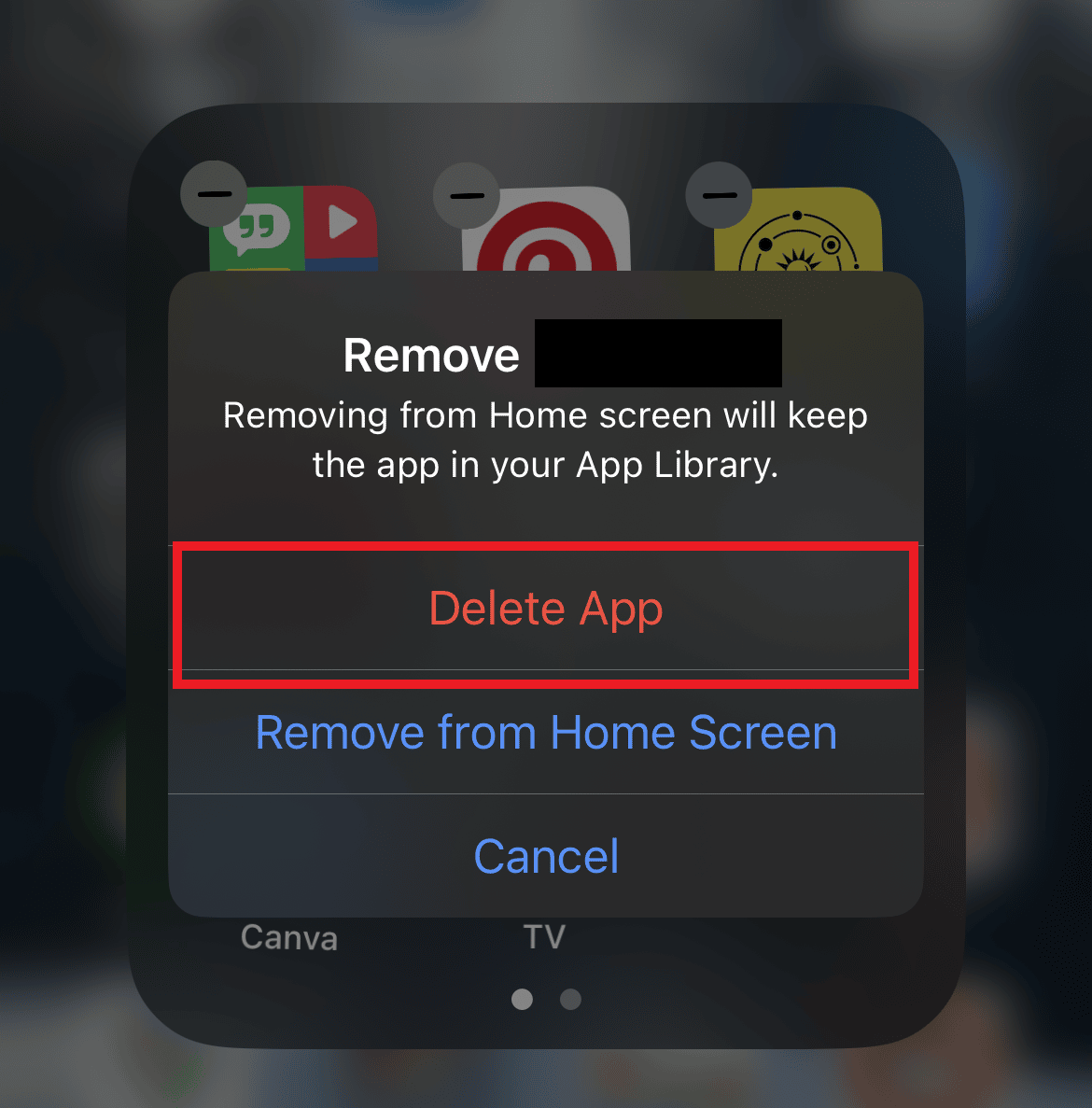 Выберите «Удалить приложение» | Как исправить HBO Max, не работающий на iPhone