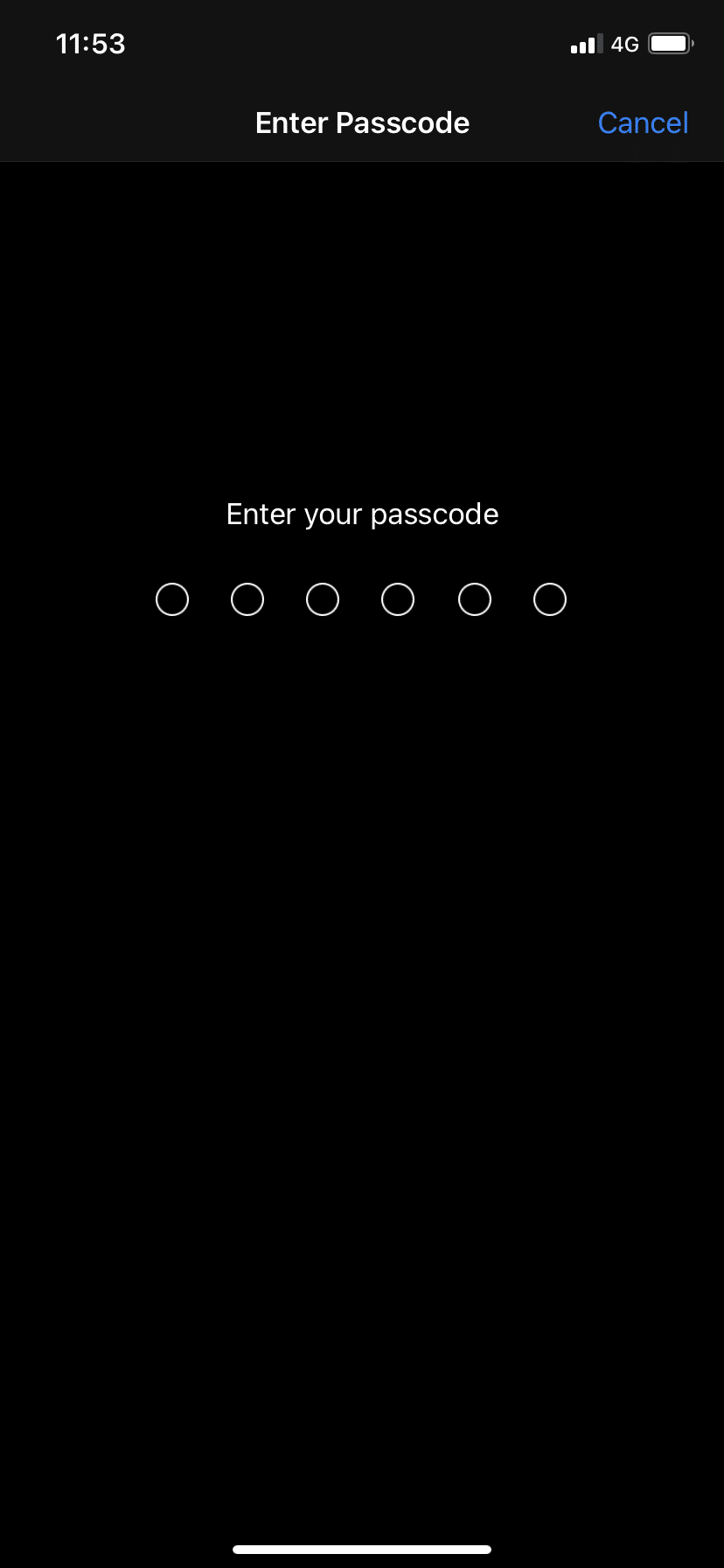 Enter your Passcode. itunes could not connect to the iphone