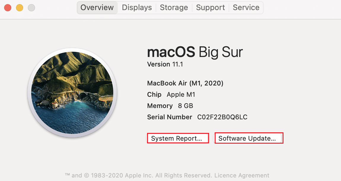 Cliquez sur Rapport système, puis passez à la section Logiciel. Correction de la compatibilité macOS Big Sur