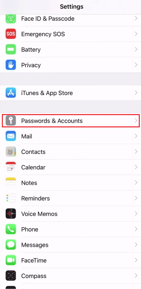 Tryk på Adgangskoder og konti | Sådan fjerner du iPhone-kalendervirus | stop spam i min kalender