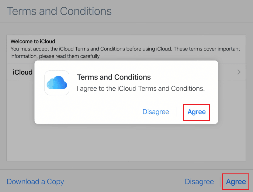 Agree to the Terms and Conditions window and popup | 