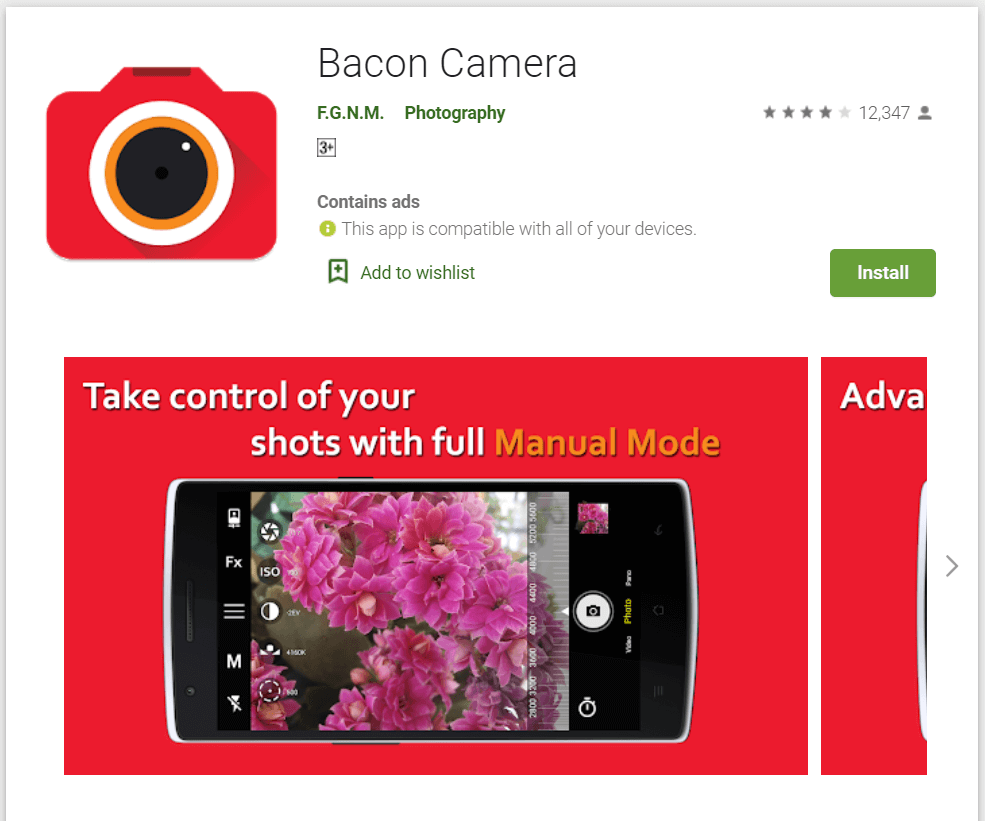 Bacon camera