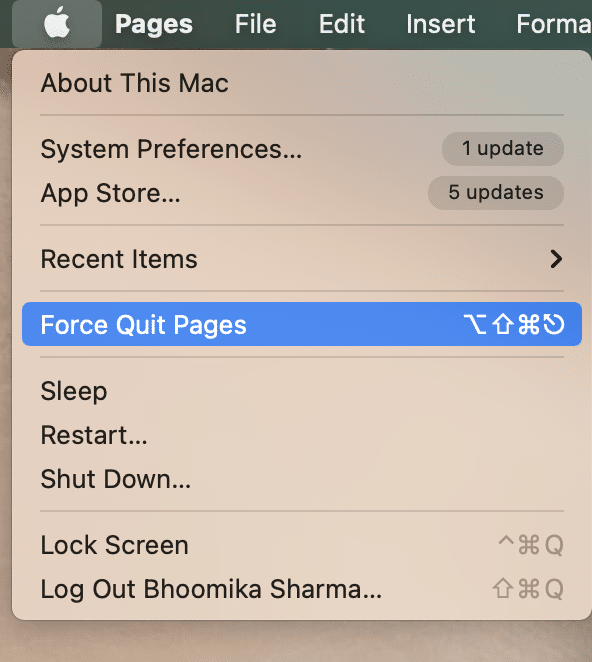 Выберите указанное приложение и снова нажмите «Завершить принудительно». Исправлена ​​совместимость с macOS Big Sur.