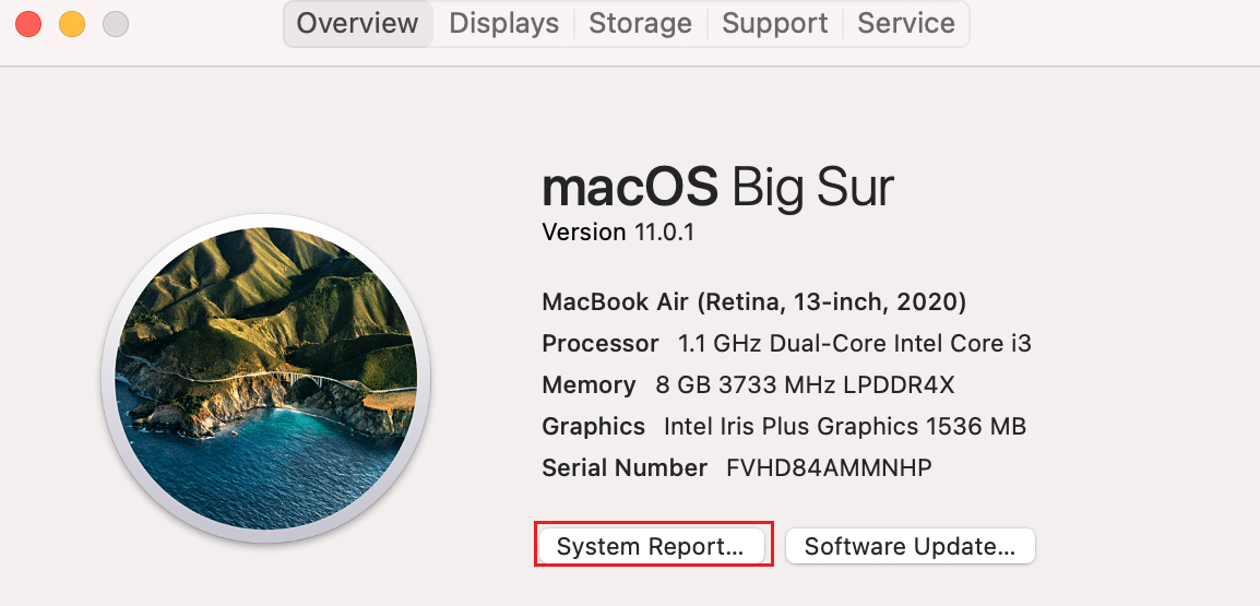 Click on System Report
