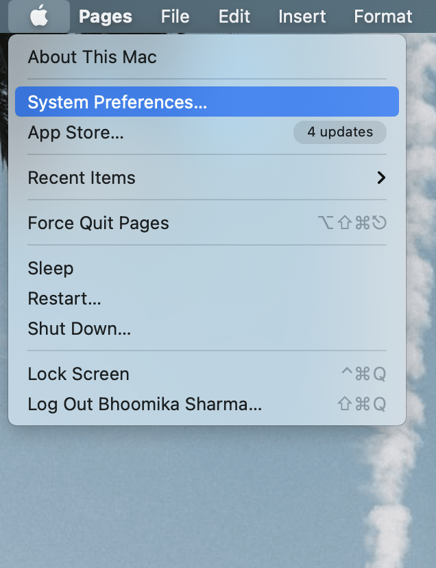 Cliquez sur le menu Apple et sélectionnez Préférences Système. Problèmes avec macOS Big Sur