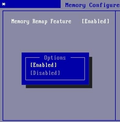 Enable Memory Remap Feature