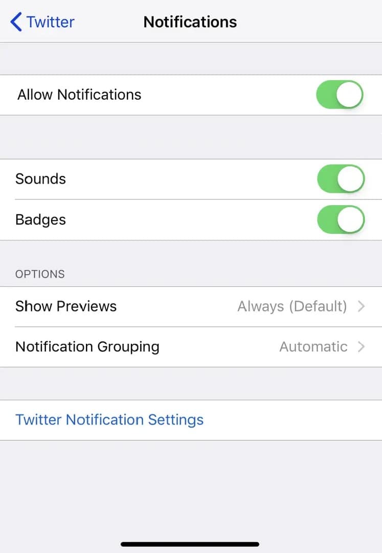 Habilite las notificaciones de Twitter en iPhone. Arreglar las notificaciones de Twitter que no funcionan