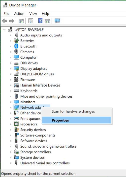 Expand Network adapters then right-click on it and select Properties