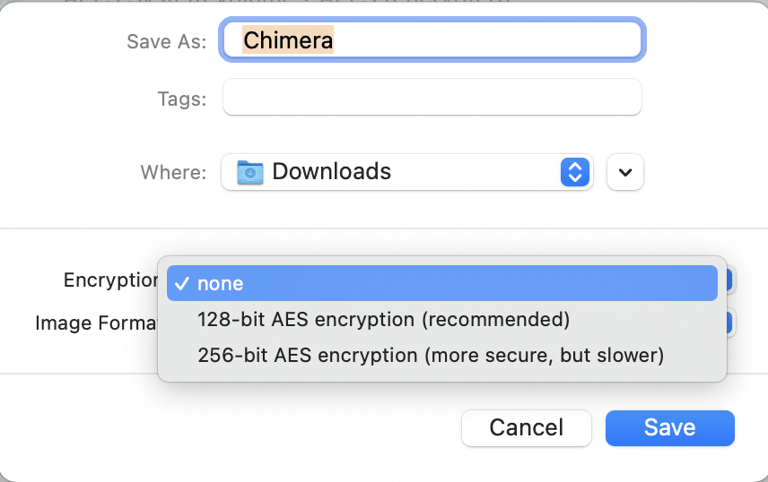 From the Encryption drop-down list, choose the 128 Bit AES Encryption option