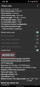 In phone information menu, tap on run ping test | Fix Cellular Network Not Available for Phone Call