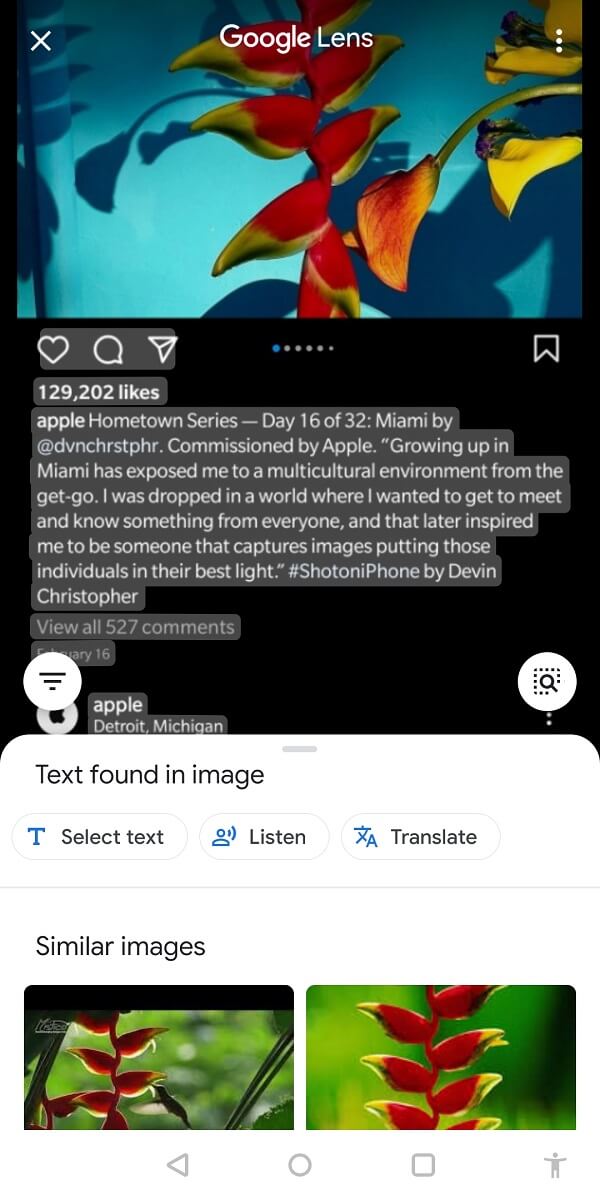 Now, Google will highlight all the text present in the photo, which you can now copy.