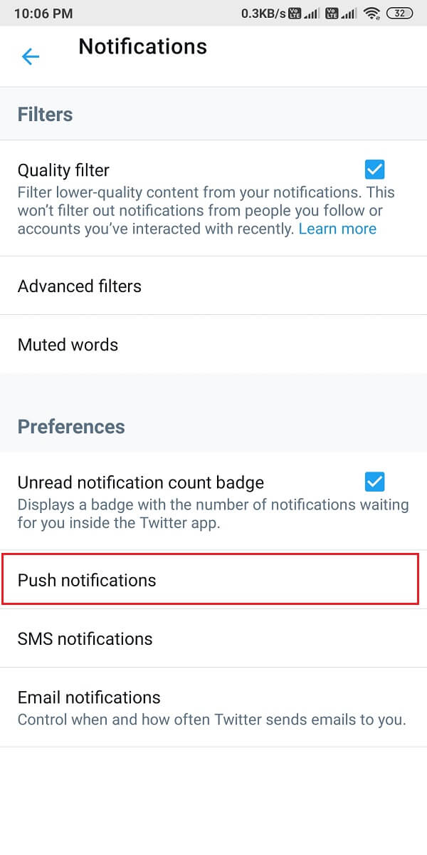 Ahora, toca Notificaciones push. | Arreglar las notificaciones de Twitter que no funcionan