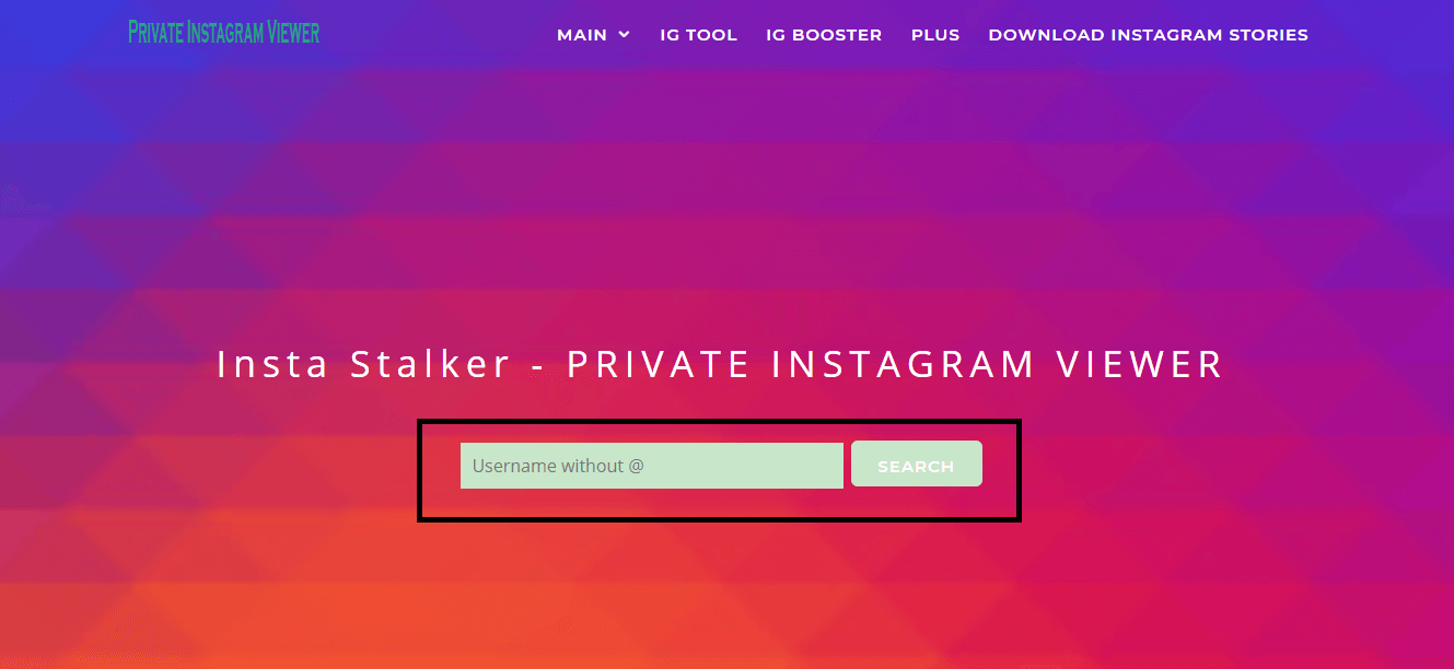Öffnen Sie den privaten Instagram-Viewer in Ihrem Google-Browser. | Sehen Sie sich ein privates Instagram-Konto an