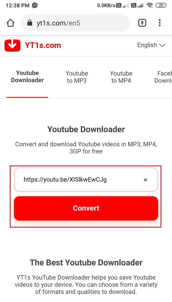 Paste the link of the YouTube video in the box on your screen