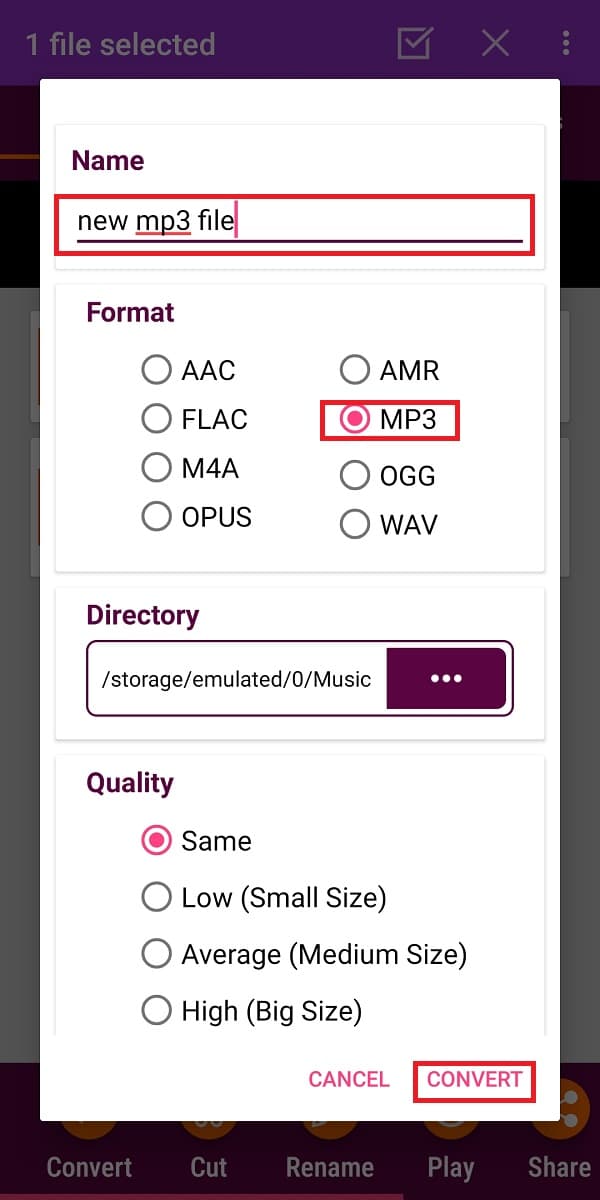 Rename the new audio file and tap on Convert to start the conversion process