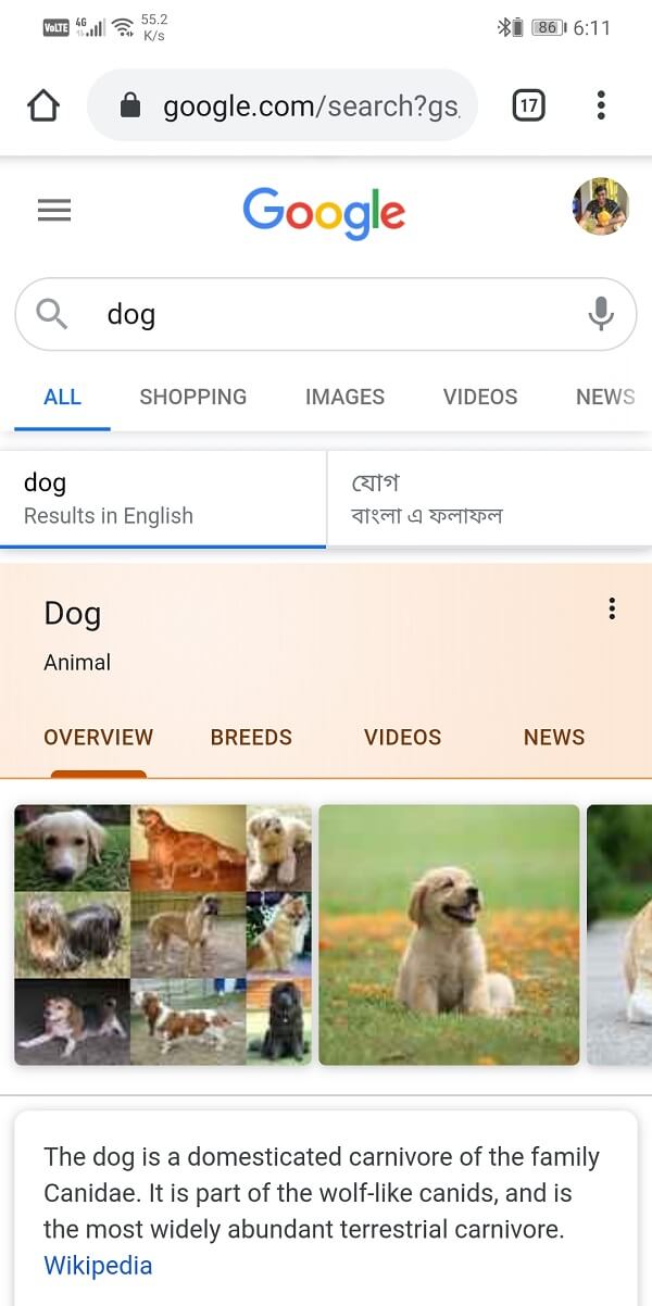 Search any image in google
