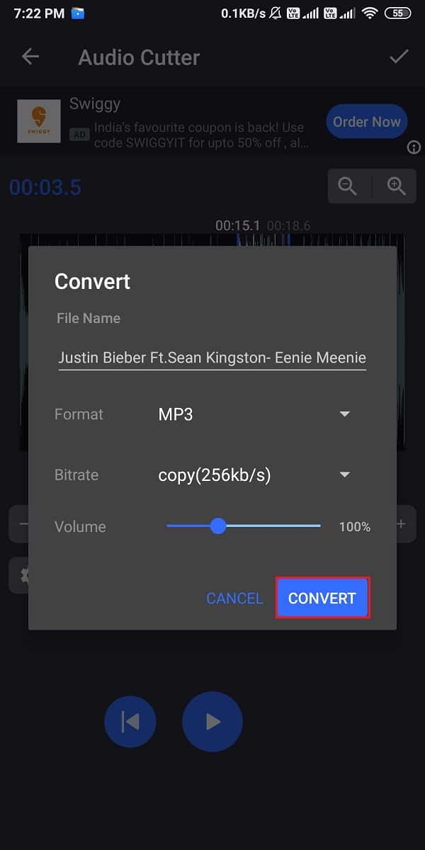 Select the Convert option when the window pops up