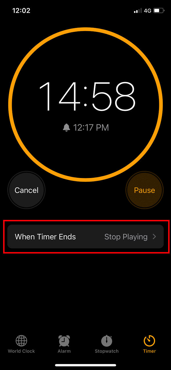 Set Sleep Timer On iOS Devices
