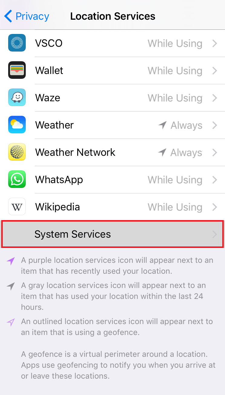 System Services option iPhone Settings
