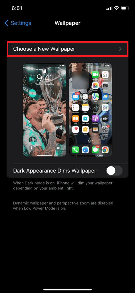 Tap on Choose a New Wallpaper | How to Put App Back on Home Screen on iPhone