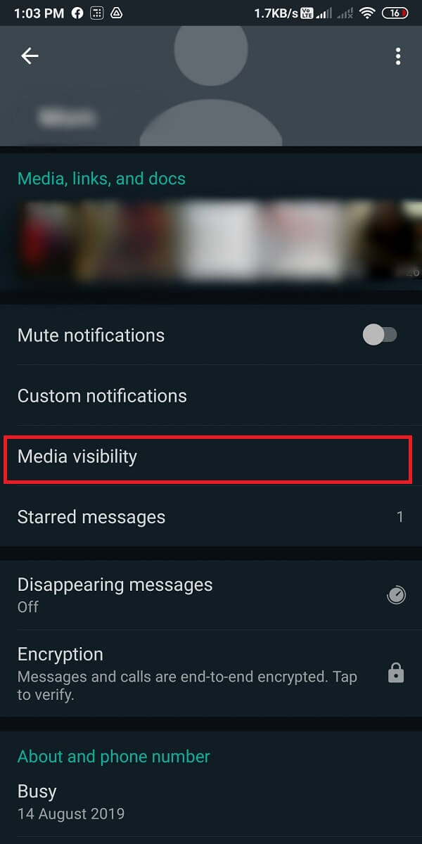 Tap on Media visibility. 