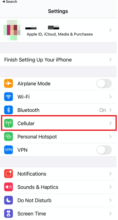 Tap on the Cellular option