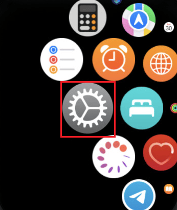 Tap on the Settings app on your Apple Watch