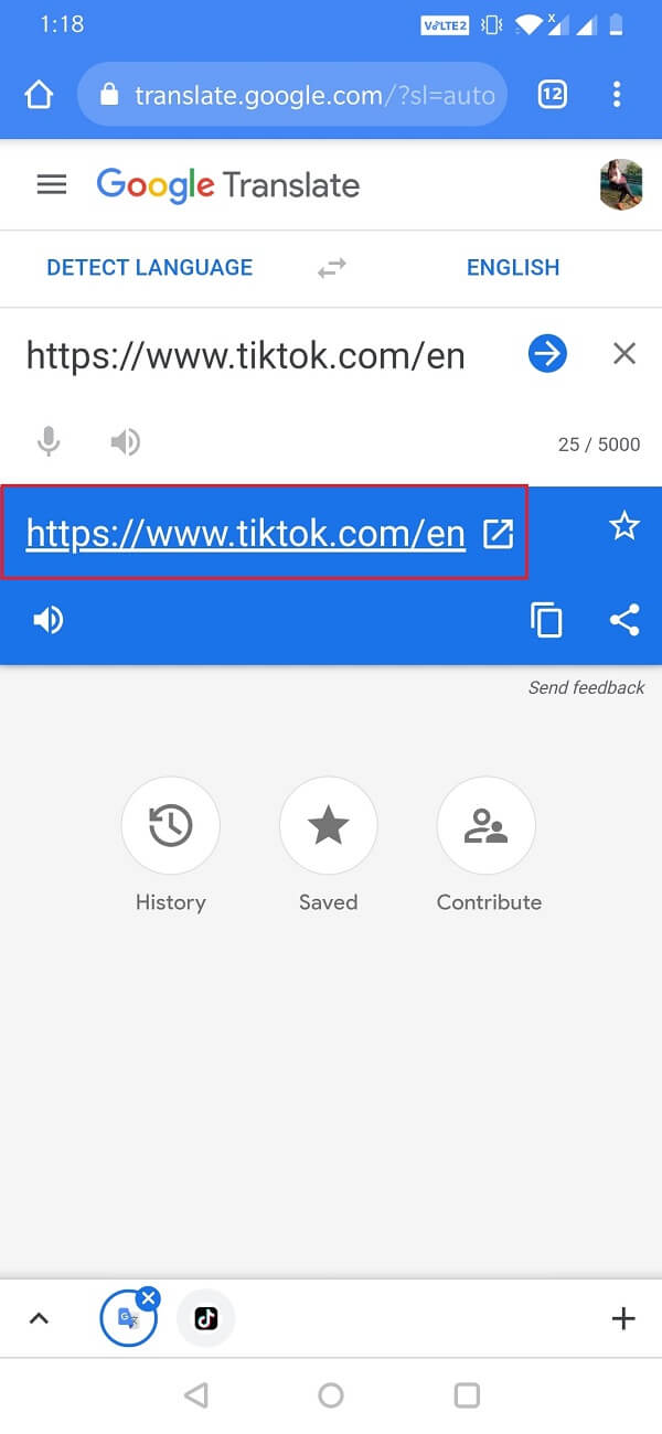 Type in your URL ( for say, httpswww.tiktok.com), now tap on the translated URL,