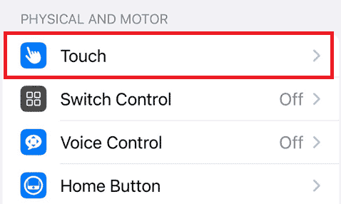 Under the Physical and Motor section, tap on the Touch option