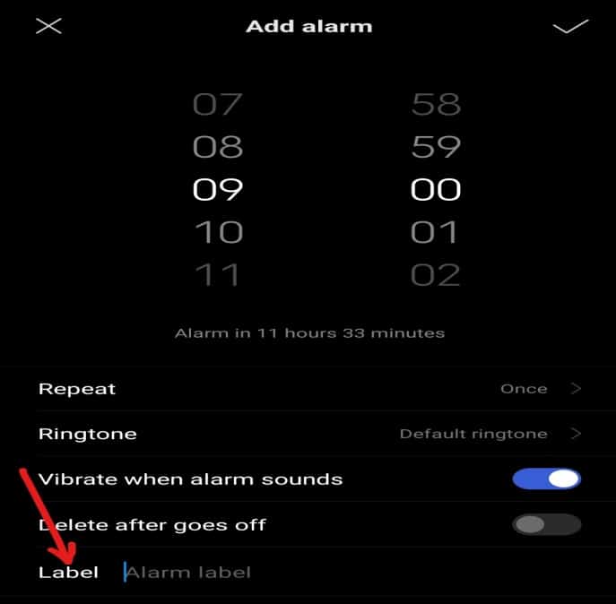 Using the Label option, you can give a name to the alarm