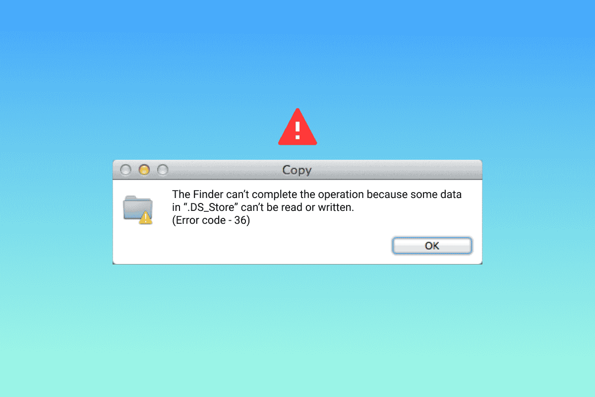 What is Error Code 36 on Mac?