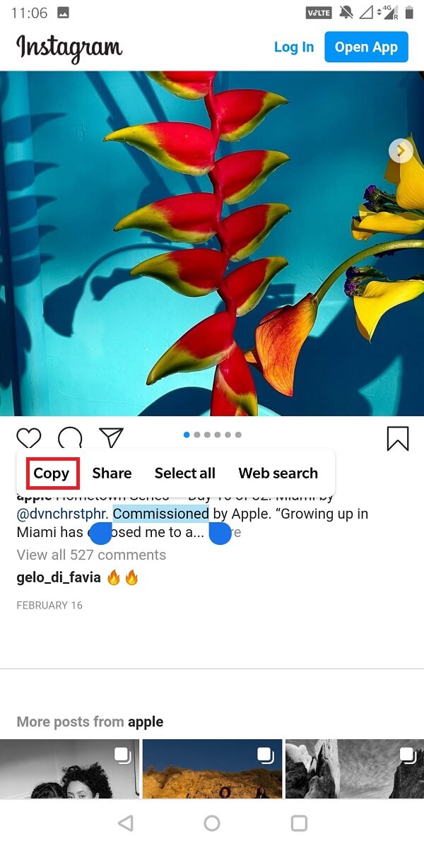 You can now select the text from the caption, copy and paste it wherever you want! | How to Copy Instagram Captions Comments and Bio