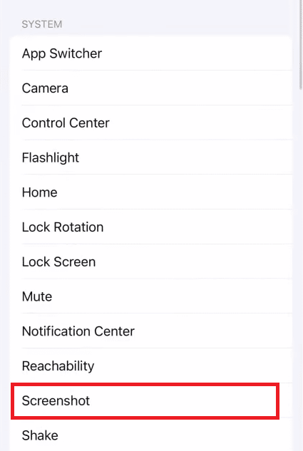 choose Screenshot from the given list