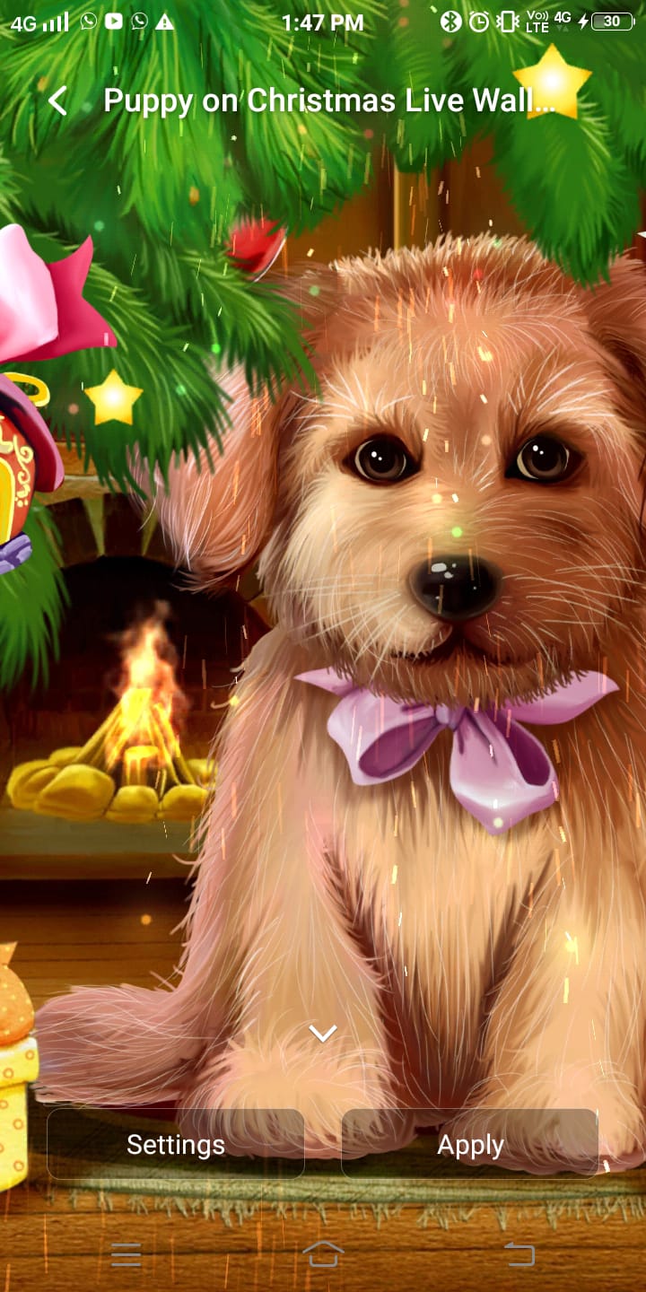 Cachorro de Navidad Live Wallpaper por Live Wallpapers 3D