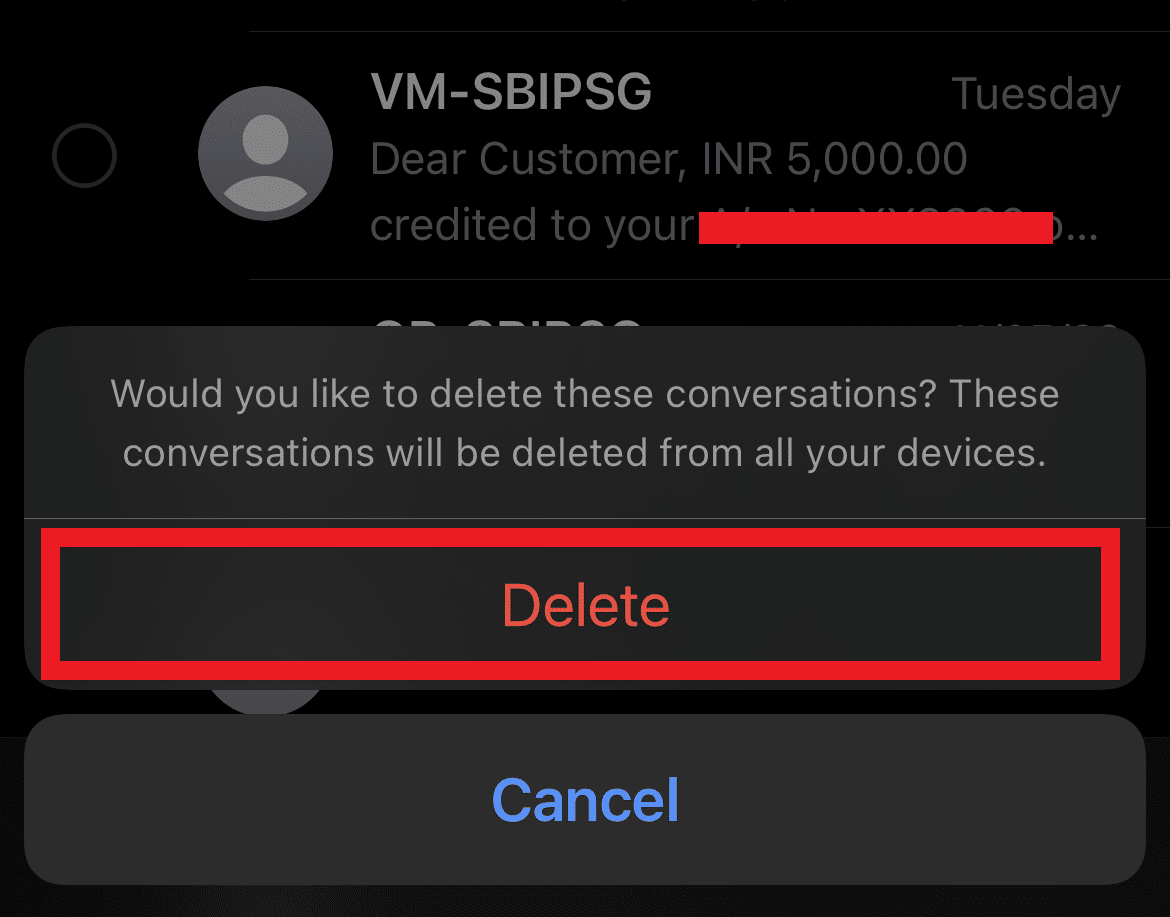 Tap on the Delete option to confirm the deletion process | How to Delete Messages on iPhone from Both Sides