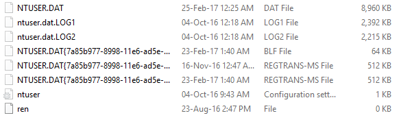copy all these files from corrupted user account to new one