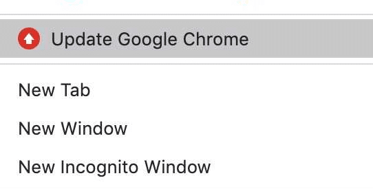 Now, click on Update Google Chrome