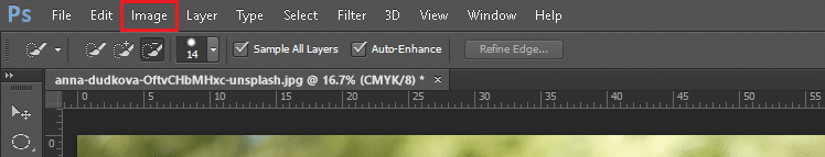Once, the picture opens in photoshop, click on Image in the top menu