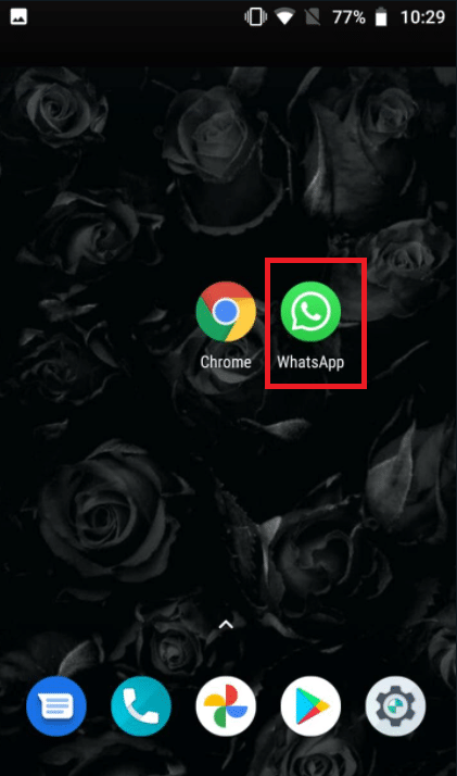 Open WhatsApp. Fix WhatsApp Video Call Not Working on iPhone and Android