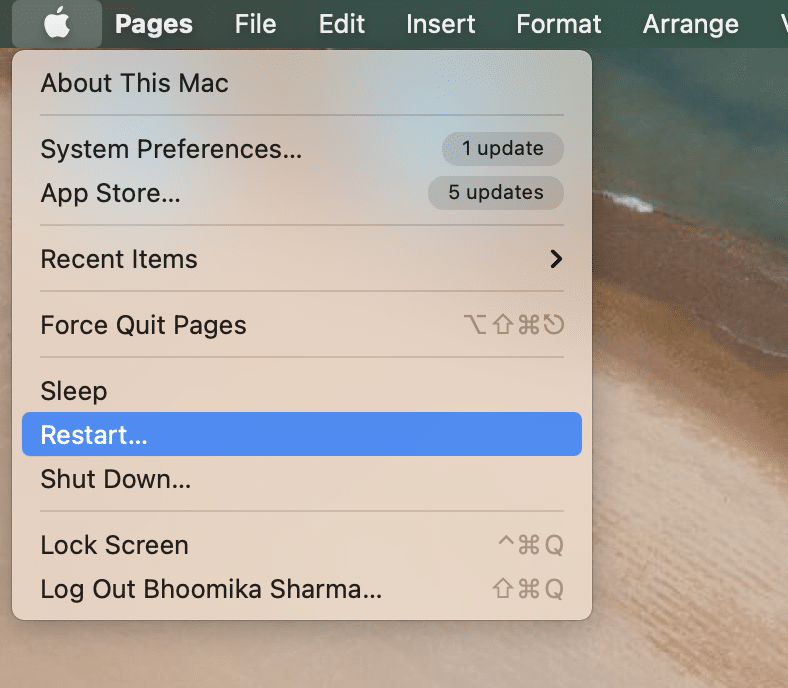 restart mac. MacOS Big Sur cannot be installed on Macintosh HD 