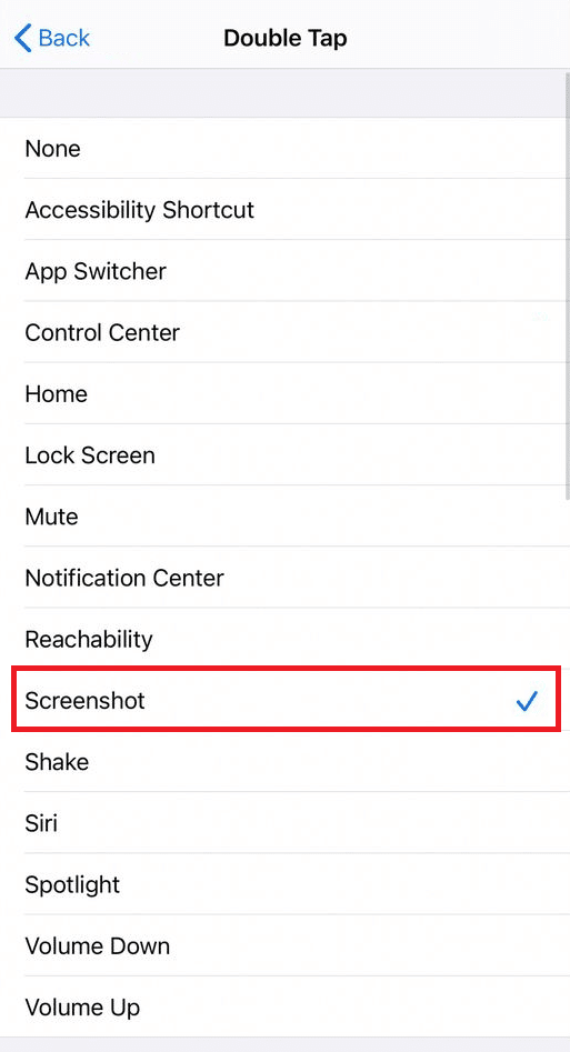 select Screenshot from the list of options | How to Disable Screenshot on iPhone