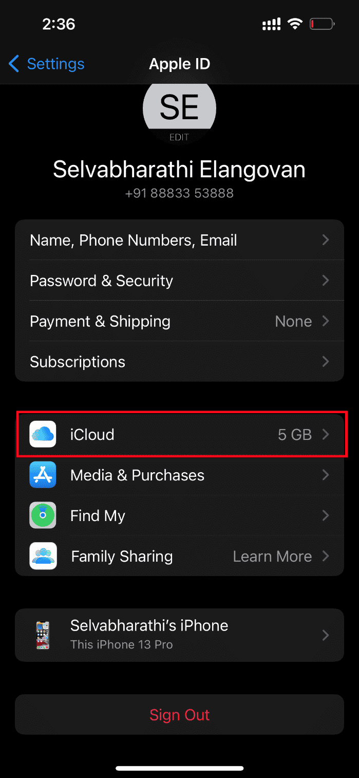 Tap iCloud. Fix An Error Occurred While Loading a Higher Quality Version of this Photo on iPhone