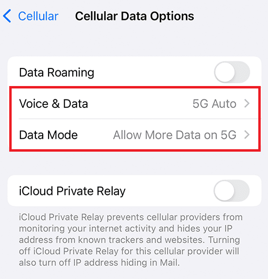 tap on Cellular Data Options | How to Turn On 5G on iPhone 11
