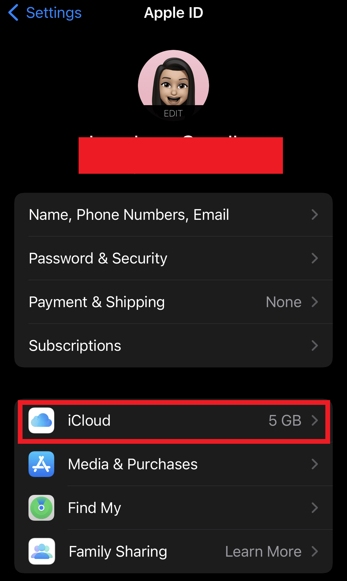 Tap on the iCloud option