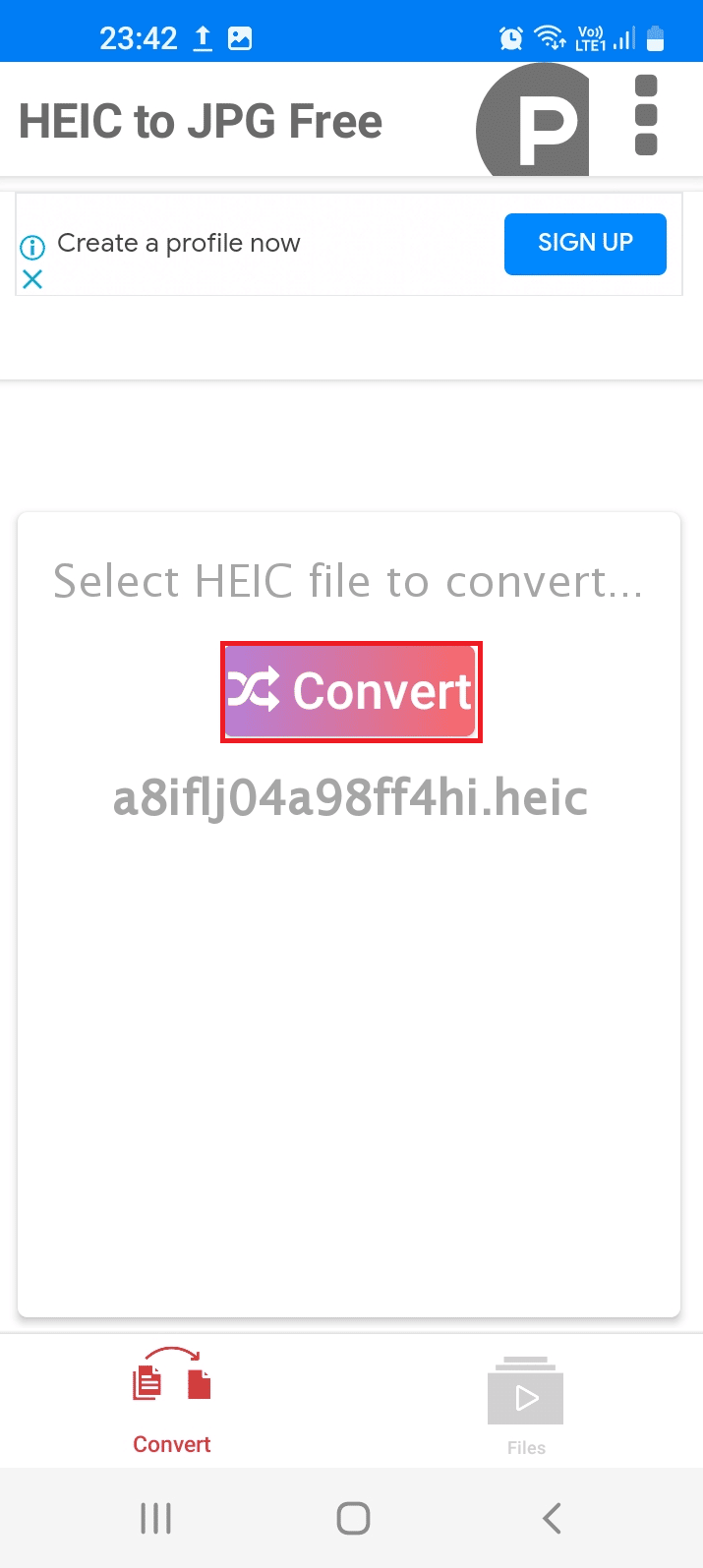 Tap on the Convert button