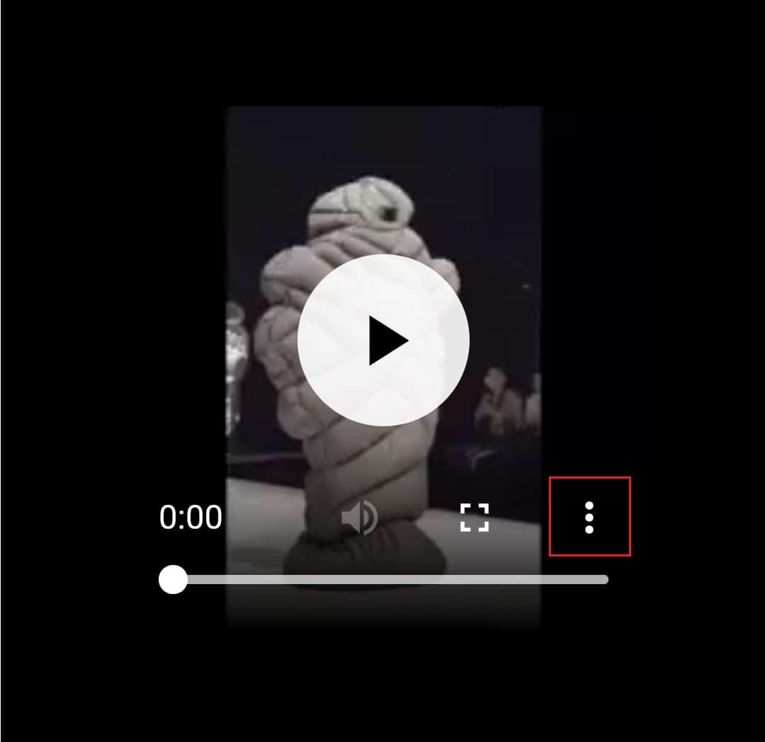 tap on three dots icon in the video