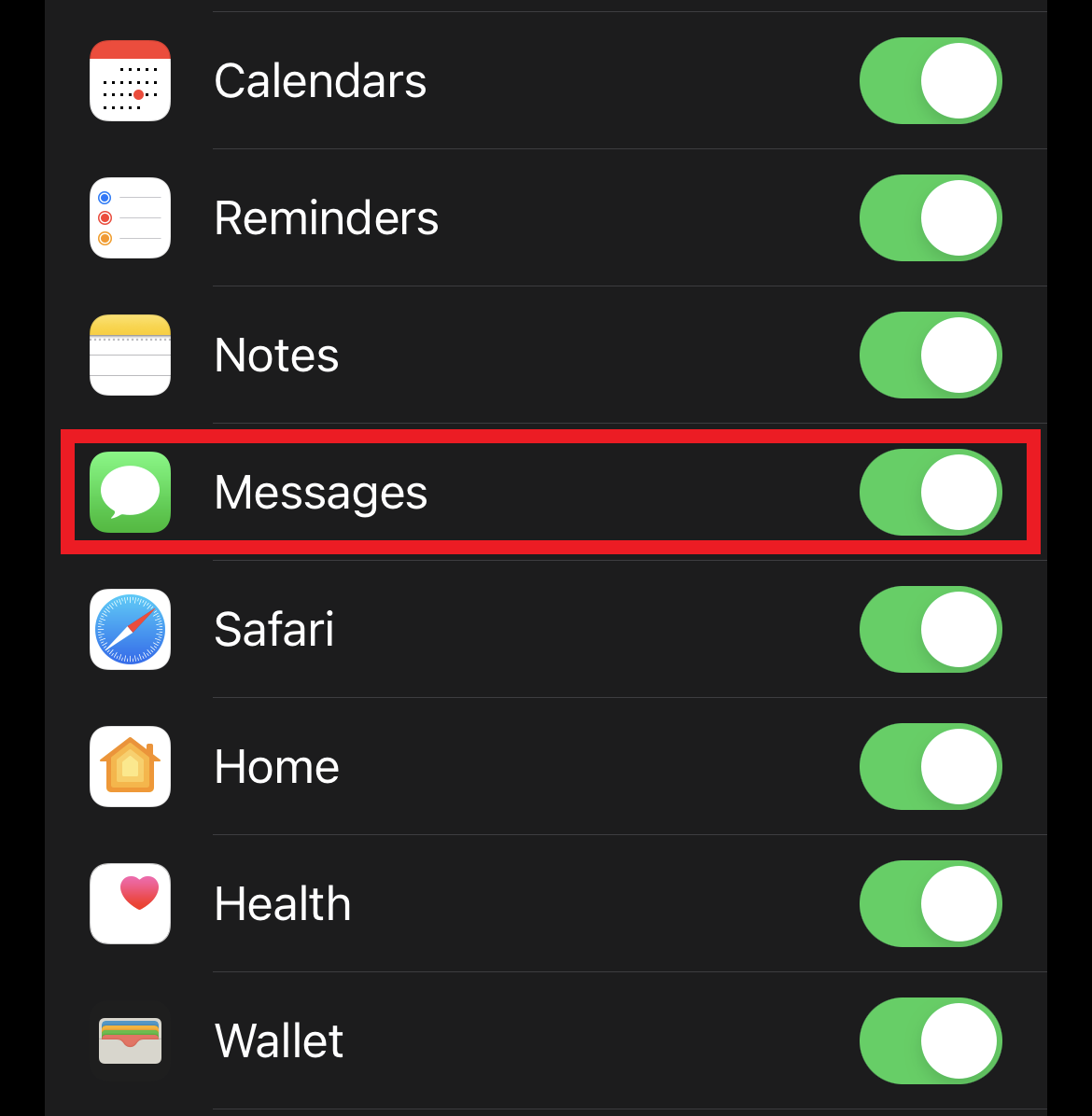 Toggle on the Messages option to start syncing your messages on iCloud | How to Delete Messages on iPhone from Both Sides