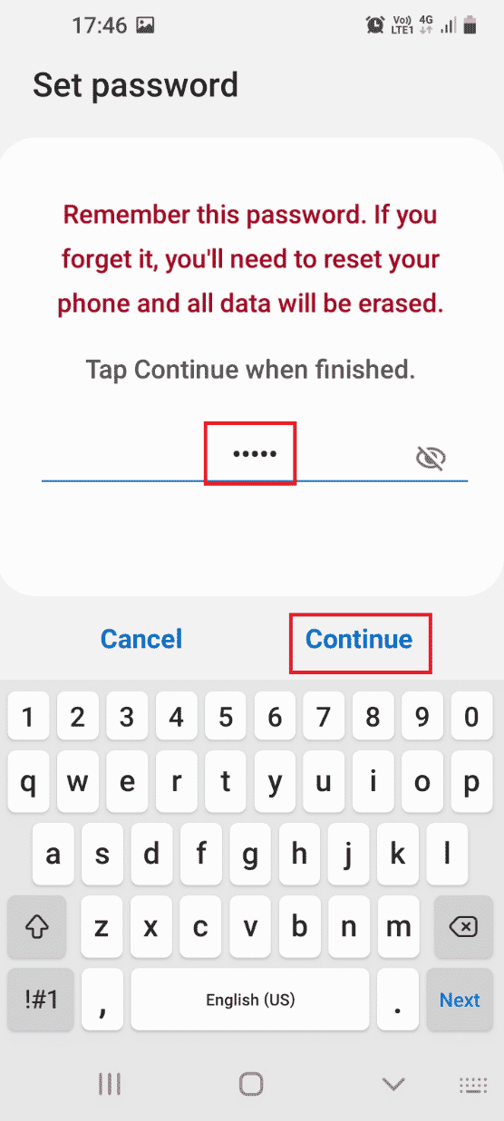 Type any alpha numeric password and tap on the Continue option