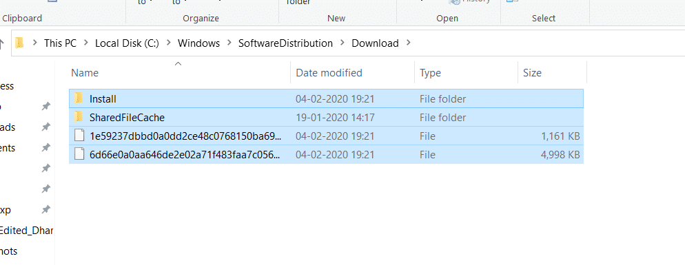 select all files and folders in software distribution folder and delete them permanently