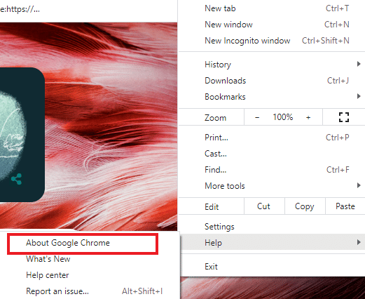 Select About Google Chrome. Fix Chrome Not Saving Passwords in Windows 10